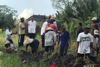 Jokowi "blusukan" ke proyek padat karya di Tabanan