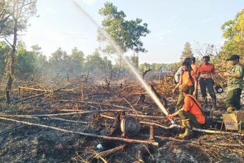 Cegah karhutla, BPBD Palangka Raya ajukan pembentukan satgas