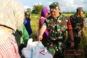 Kapenrem mamuju: tni tertibkan tengkulak di Enrekang