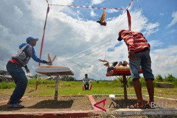 Kejuaraan Balap Merpati Tingkat Nasional