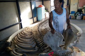 Rangka 11 meter terdampar di Tambelan