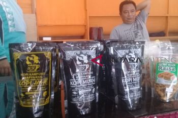 Produksi kopi khas Sampit mulai menggeliat