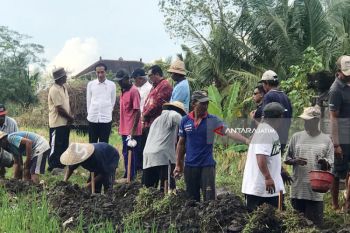 Jokowi: Proyek Padat Karya Dongkrak Daya Beli Rakyat Pedesaan (Video)