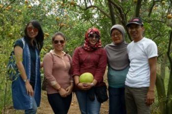 Mengolaborasikan Agribisnis-Wisata "Jeruk Dau" Melalui BUMDES