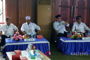 Artikel - Adu kuat sang mantan dan petahana di Kapuas
