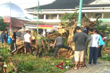 Masyarakat diimbau waspadai peningkatan intensitas hujan