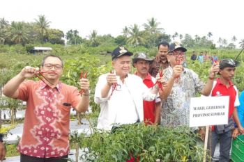 Wako Payakumbuh minta warga manfaatkan lahan kosong kuatkan ekonomi keluarga