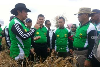Staf Ahli Mentan hadiri penanaman serentak di Lingga