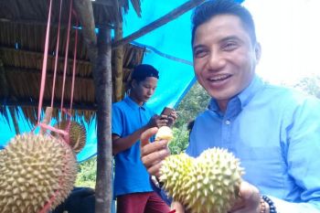 Wabup Kotim: buah lokal jangan tersisih sawit