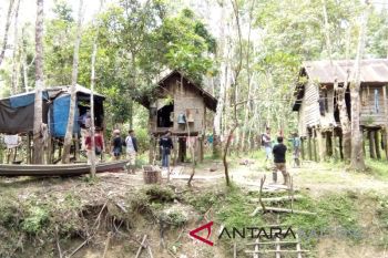 Polres Barito Selatan olah TKP pembunuhan orangutan