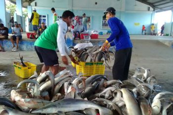 Pati susun peta jalan mutu pelayanan TPI