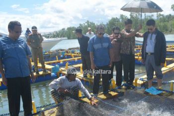 Putus Jalur ke Tawau, Pemprov Fasilitasi Ekspor ke Tiongkok