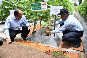 Forum BUMDes adakan diskusi terbuka penguatan BUMDes