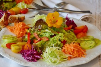 Ingin diet vegetarian jangan khawatir kurang gizi, asal lakukan hal ini