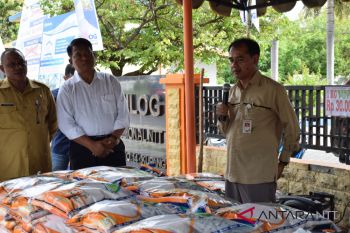 Stok beras untuk NTT aman hingga akhir 2018