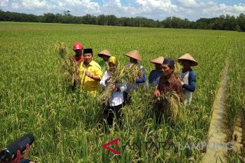 "Kartu Petani Berjaya" diharapkan atasi kesulitan petani
