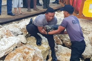 Pekerja proyek di Hamadi temukan bom PD II