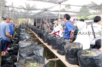 Program CSR Adaro dorong tingkatkan perekonomian masyarakat
