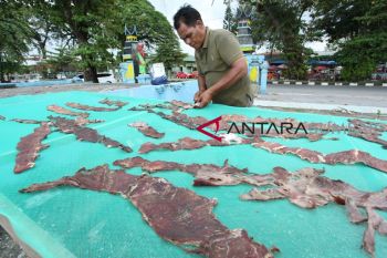 MENJEMUR DAGING DENDENG