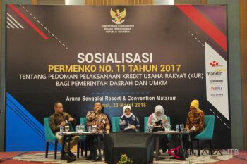Mandiri dukung pengembangan sektor produksi dengan KUR klaster