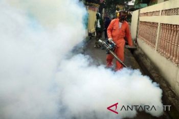 Asita: DBD sensitif bagi wisatawan Eropa-Amerika