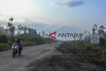 KAWASAN RIAU SERING TERLIHAT HARIMAU SUMATERA