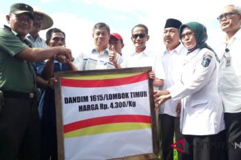 Tim sergab NTB kawal stabilitas harga gabah