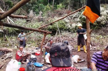 TNKS dirambah, sumber air di  Pincuran Tujuah terancam
