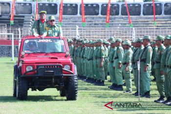 325.000 anggota linmas siap amankan Pilgub Jateng