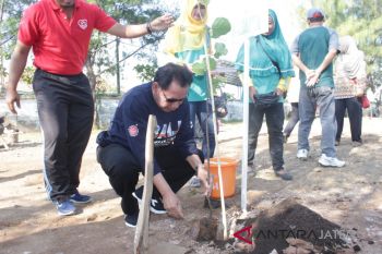Ratusan bibit pohon ditanam di Pantai Pesisir Kencana
