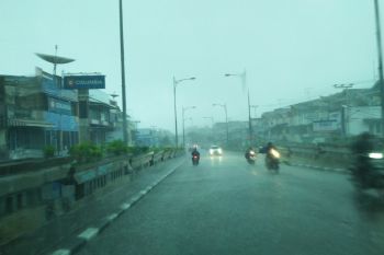 Adanya hujan lebat dan pohon tumbang, BPBD Padang imbau warga waspadai cuaca ekstrem