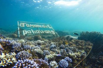 15 juta wisatawan ditargetkan berkunjung ke Lampung