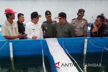 Fasilitas sentra kelautan dan perikanan terpadu Sikakap masih kurang