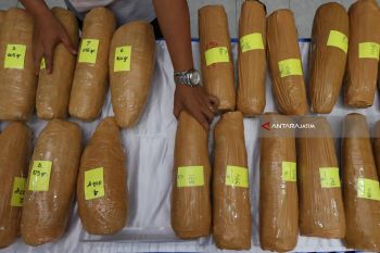 Peredaran Ganja Jaringan Lapas