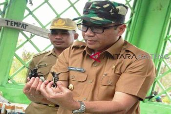 Jangan bergantung dari hasil tangkapan, Nelayan Seruyan perlu kembangkan ini