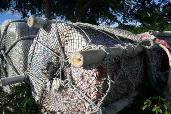 Rumpon hanya merusak ekologi laut
