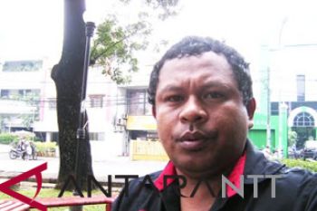 NTT resmi miliki sendiri zona Danone Cup