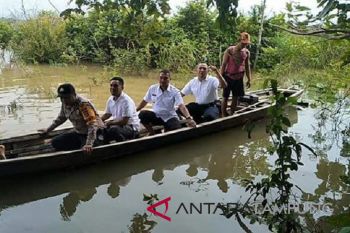 Bupati Tulangbawang Barat tinjau jalan terendam banjir