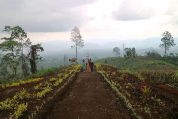 Solok Selatan kembangkan konsep pariwisata tak terbatas