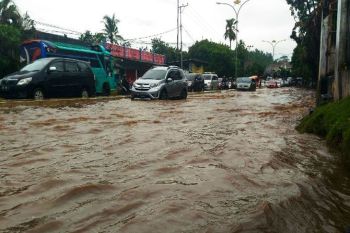 Akademisi: Bandarlampung minim kawasan serapan air