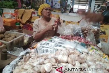 Harga bawang putih impor di Kudus turun Rp20.000/kg