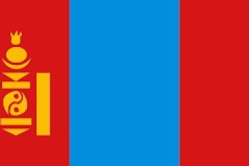 700.000 ternak mati akibat musim dingin "dzud" di Mongolia