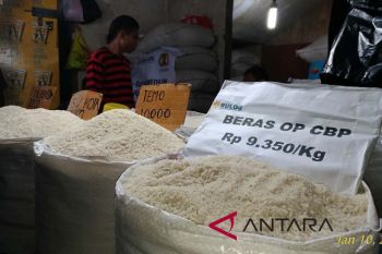 Bulog terus lakukan OP guna stabilisasi pangan