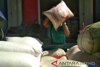 Musim panen usai, harga beras di Kudus mulai naik