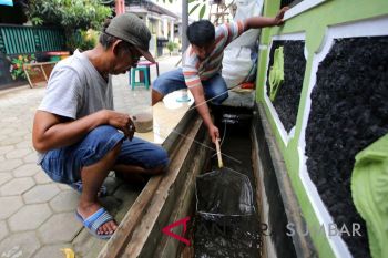 Target produksi ikan di Padang Panjang setahun ini