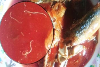 Antisipasi temuan cacing di Sarden, BPOM di Palangka Raya diminta gelar razia