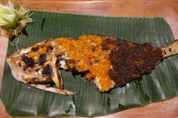 Ikan Celebes salah satu kekayaan kuliner istimewa Sulawesi