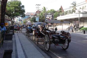 Jalur Khusus Delman di Pantai Kuta