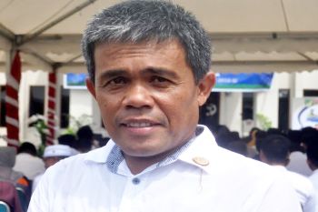 Pemkab Barut berupaya atasi masalah komunikasi pedesaan