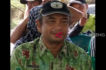 Pemkab Seruyan daftarkan 350 petani sawit swadaya peroleh RSPO